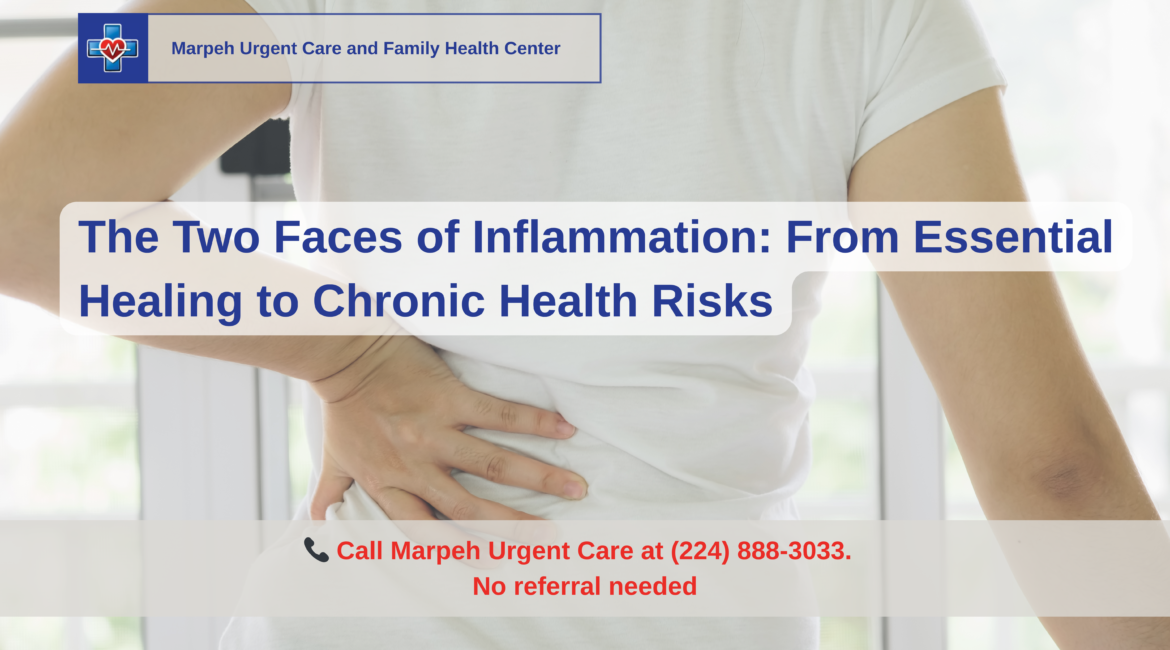 The Two Faces of Inflammation: From Essential Healing to Chronic Health Risks
